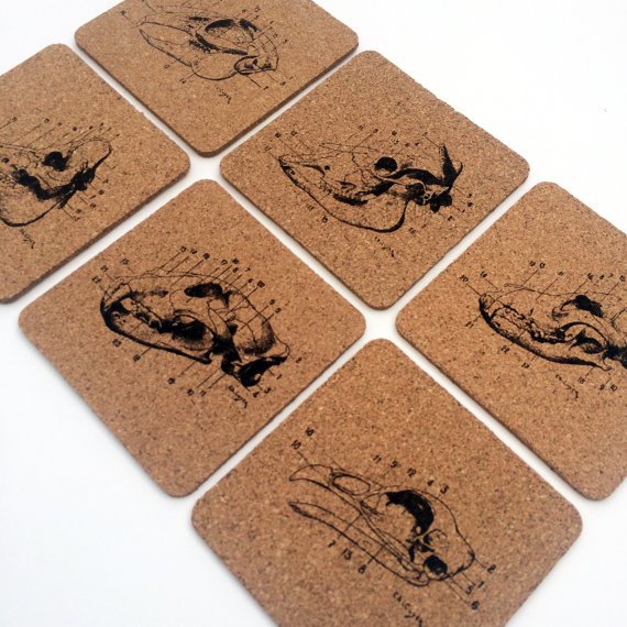 6pc. Cork Coasters: Animal Anatomy