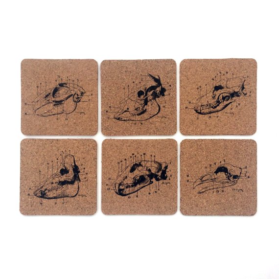 6pc. Cork Coasters: Animal Anatomy